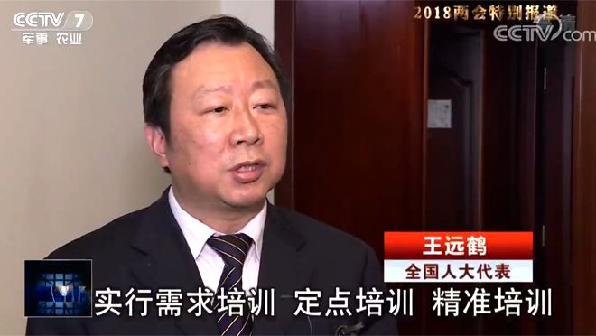 全國人大代表 王遠(yuǎn)鶴