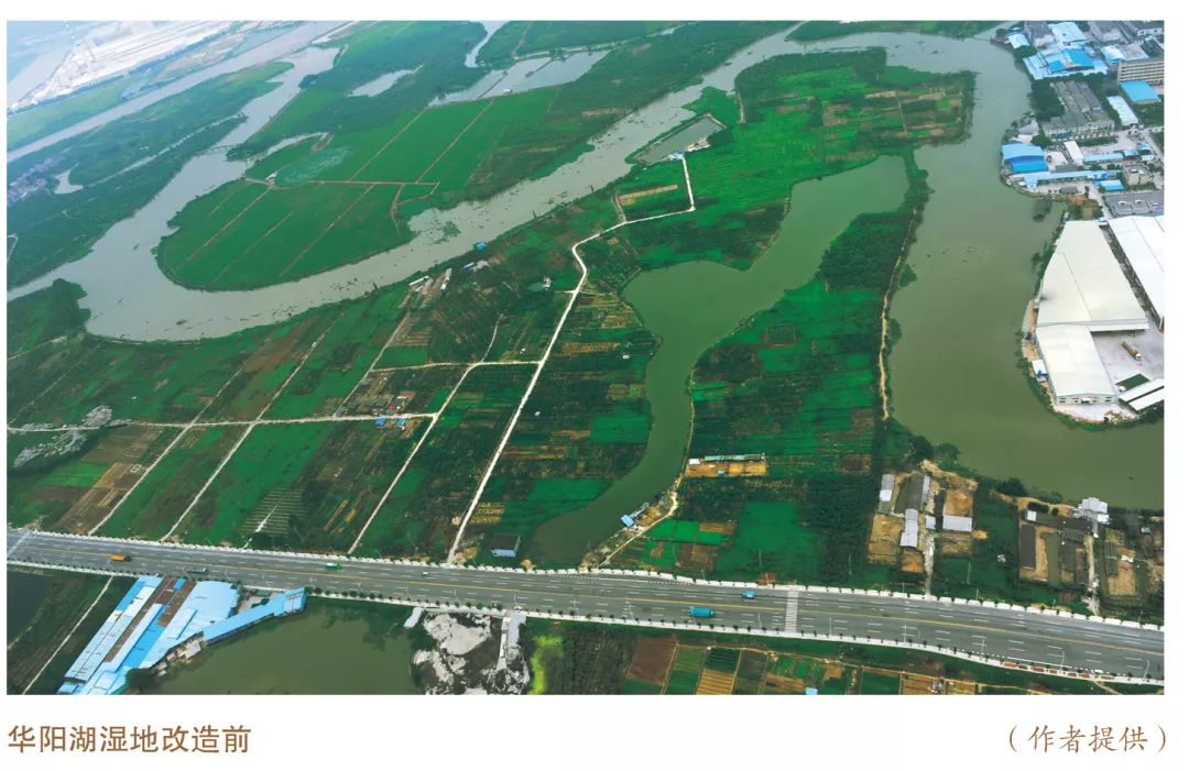 美麗中國先鋒榜（5）｜廣東東莞市華陽湖環(huán)境綜合整治推動高質(zhì)量發(fā)展