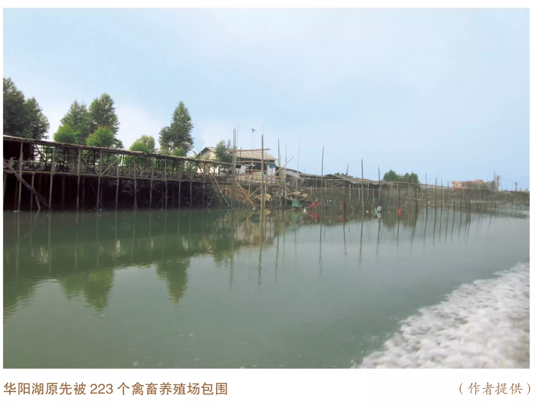 美麗中國先鋒榜（5）｜廣東東莞市華陽湖環(huán)境綜合整治推動高質(zhì)量發(fā)展
