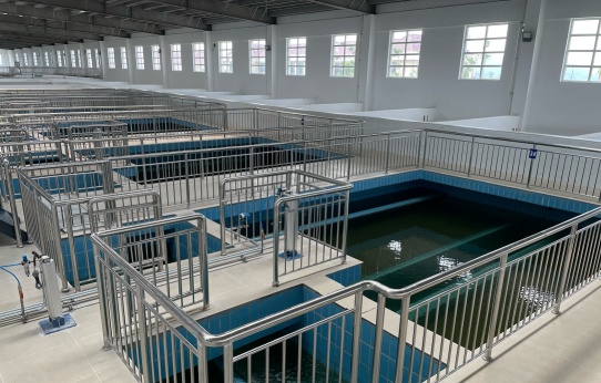 1671438473923074787.jpg a_742260645038125058.jpg